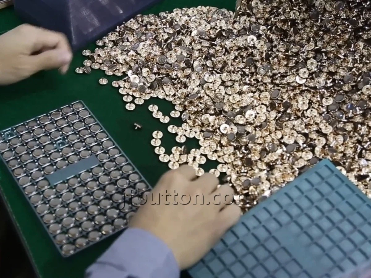 QC.jpg